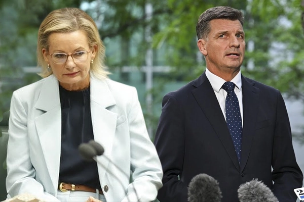 Sussan Ley Faces Liberal Party Leadership Crisis amid Taylor's Resignation